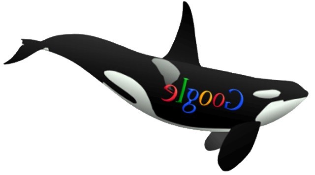 killer-whale-google1.jpg