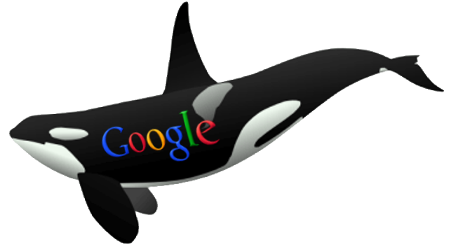 killer-whale-google1.png