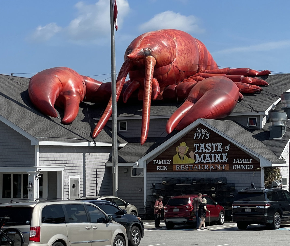 large-lobster.jpg