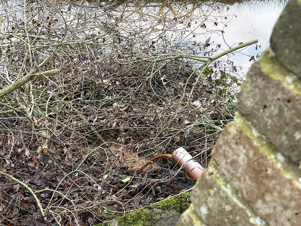 Last-Of-The-Sludge.jpg