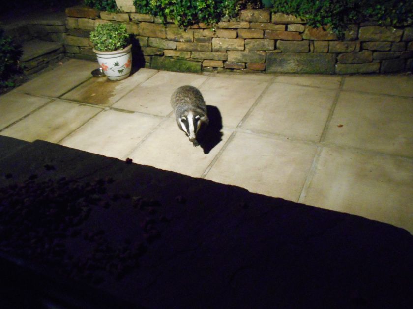 Little friends._0001.JPG
