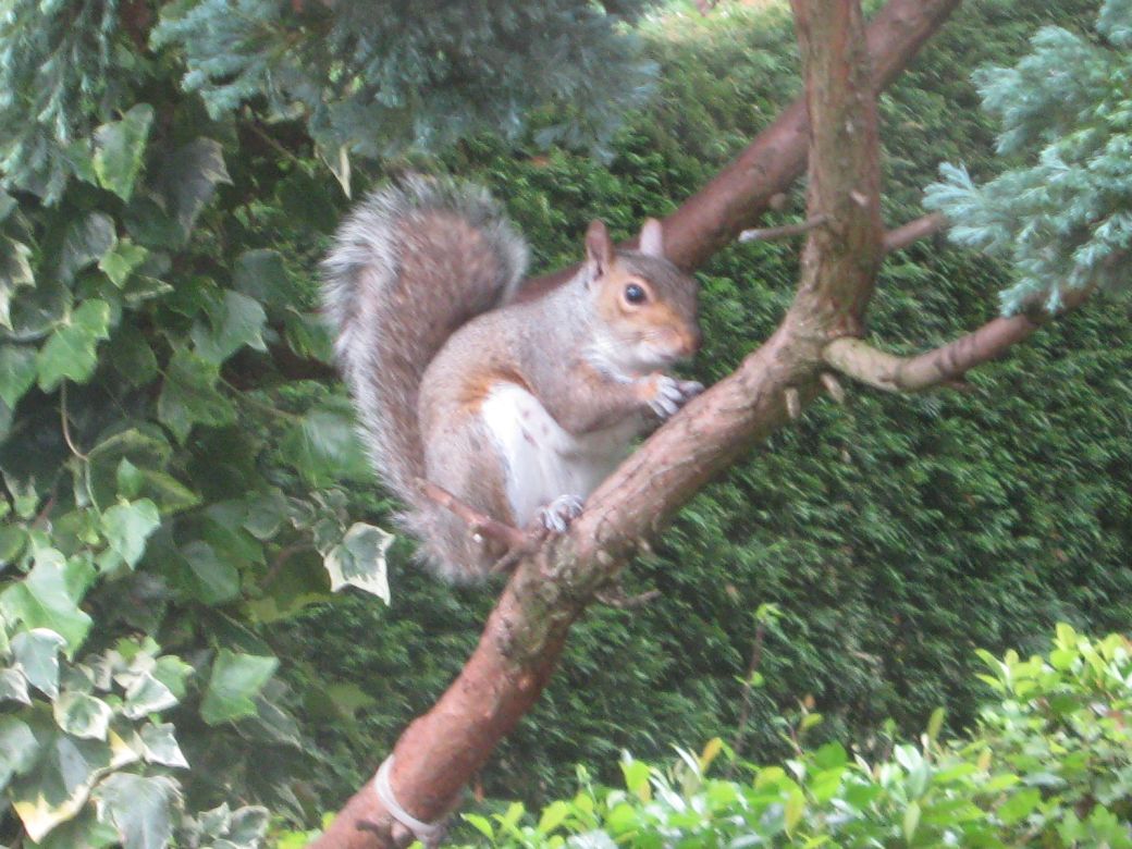 Little friends._0004.JPG