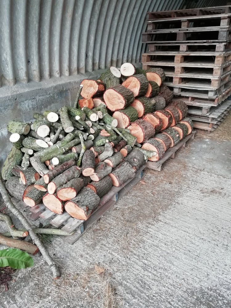 logs sept 2022.jpg
