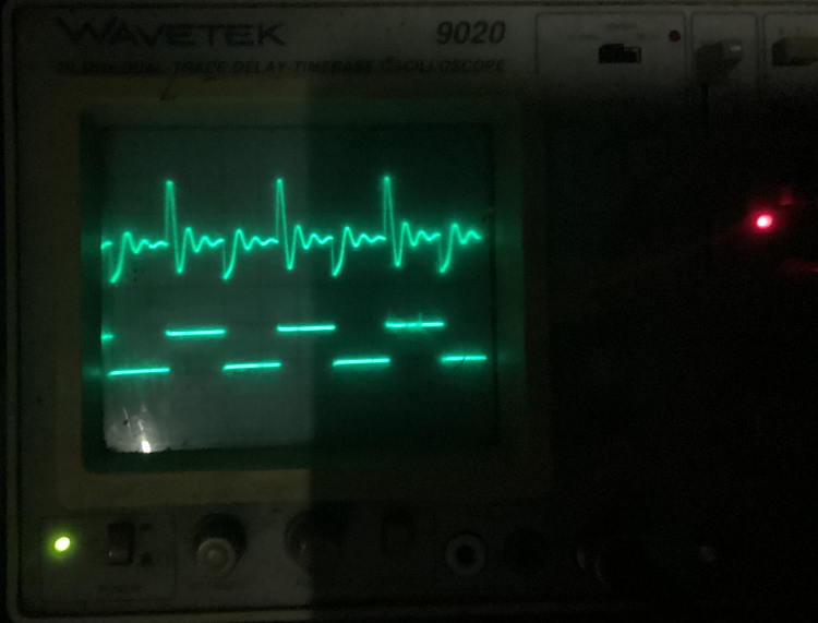 m01-15hz001.jpg