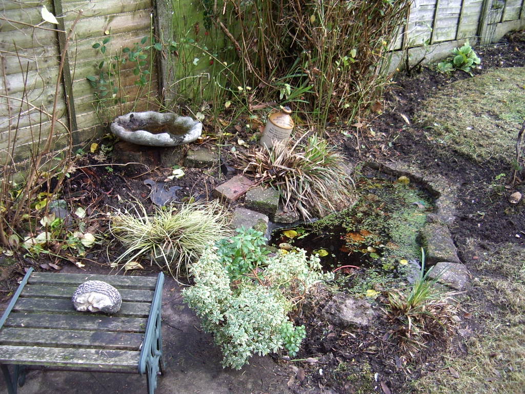 MGarden03.JPG