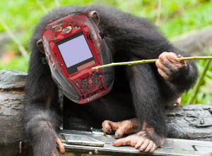 MIG-Monkey-300x221.png