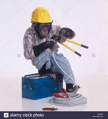 Monkey - 01.jpg