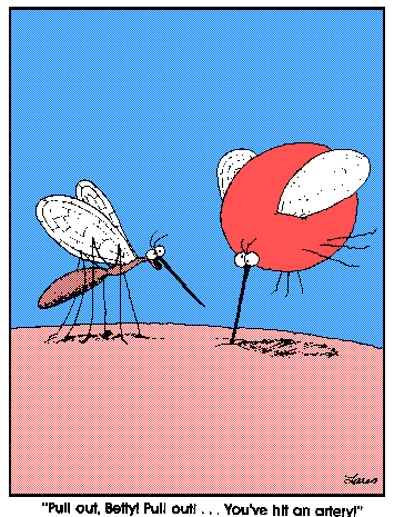 Mosquito.gif