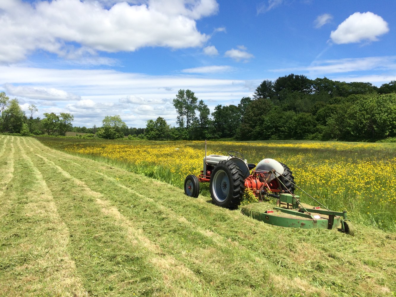 mowing-june-2016.jpg