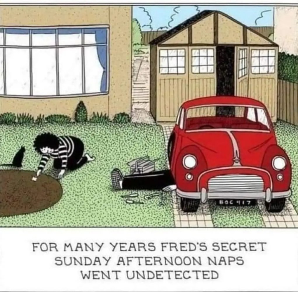Naps.jpg