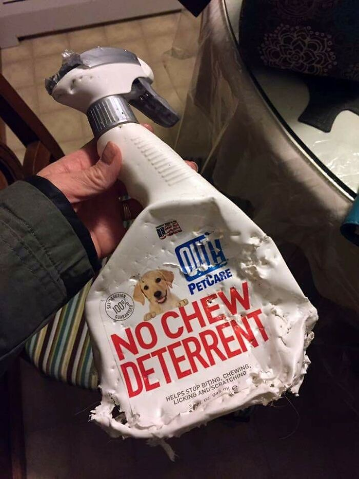 NoChew.png