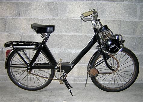 OIP-2551104088.jpg