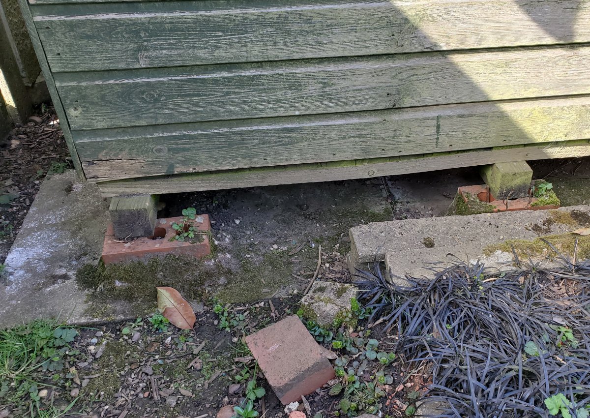 OldShedBase.jpg