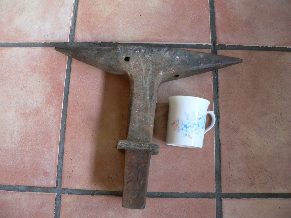 P1000659.JPG