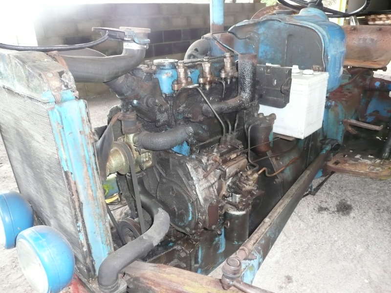 P1000699.jpg