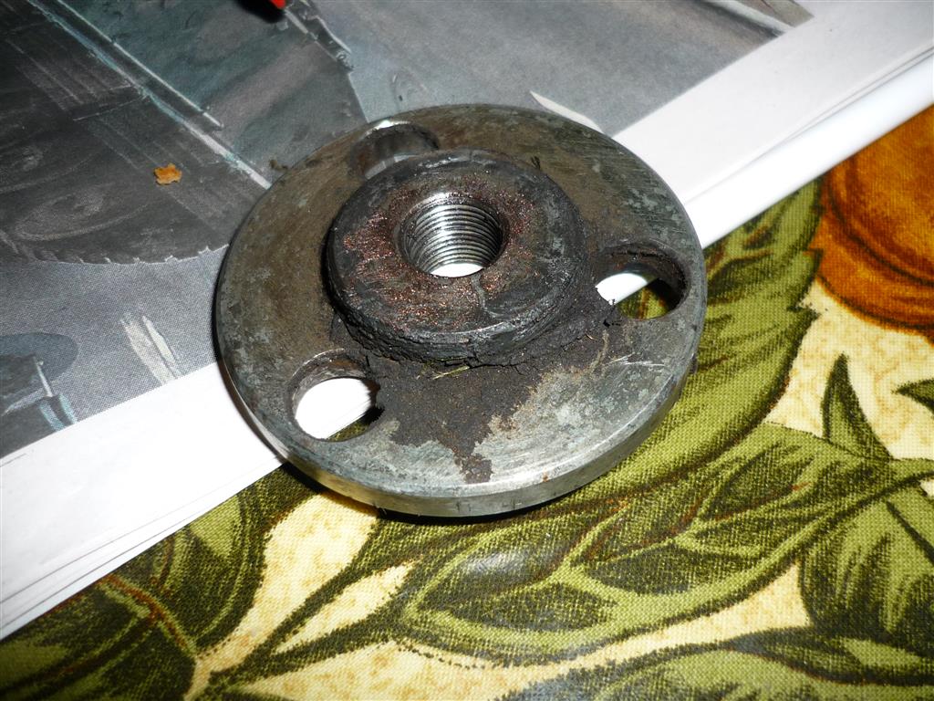 P1010214 (Medium).JPG