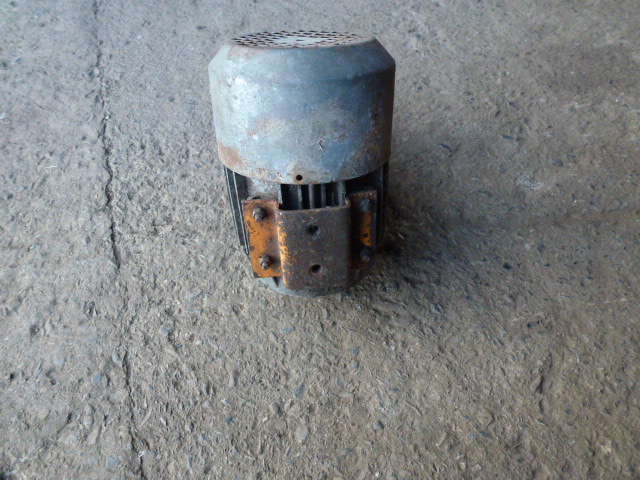 P1030405.JPG