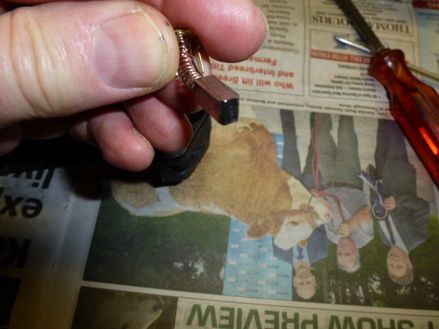 P1050031.JPG