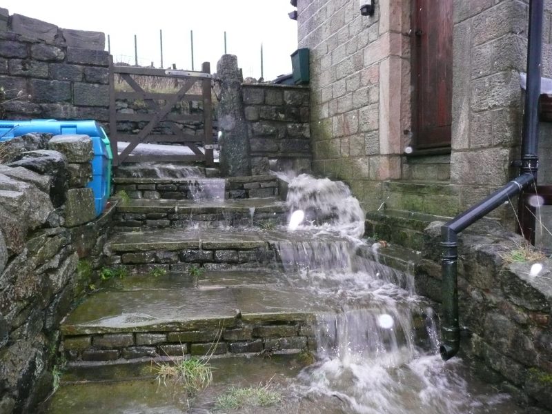 P1050340.jpg