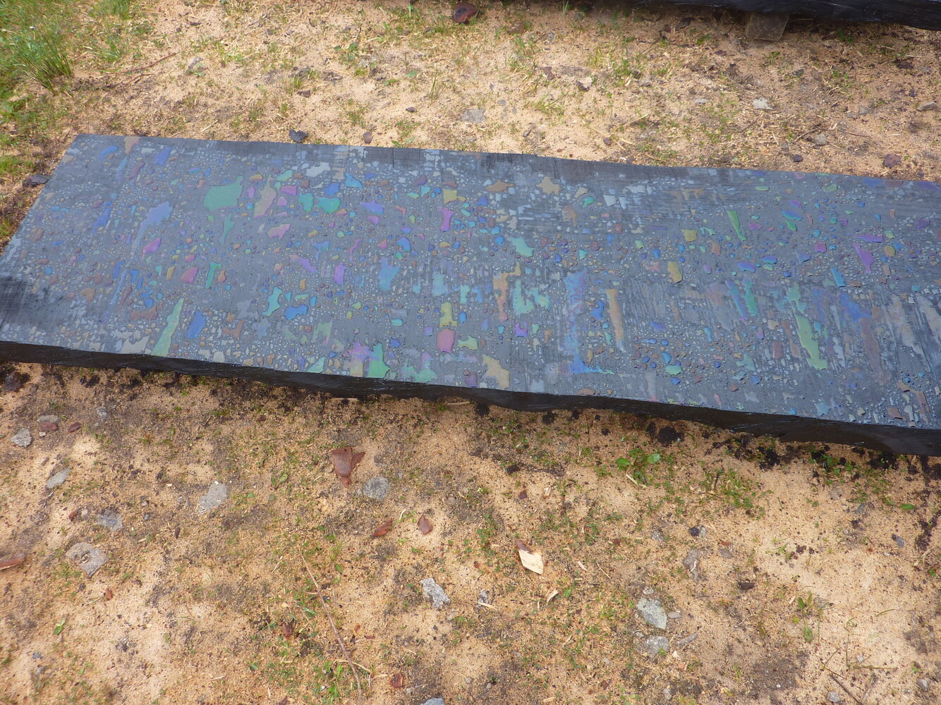P1060857.JPG
