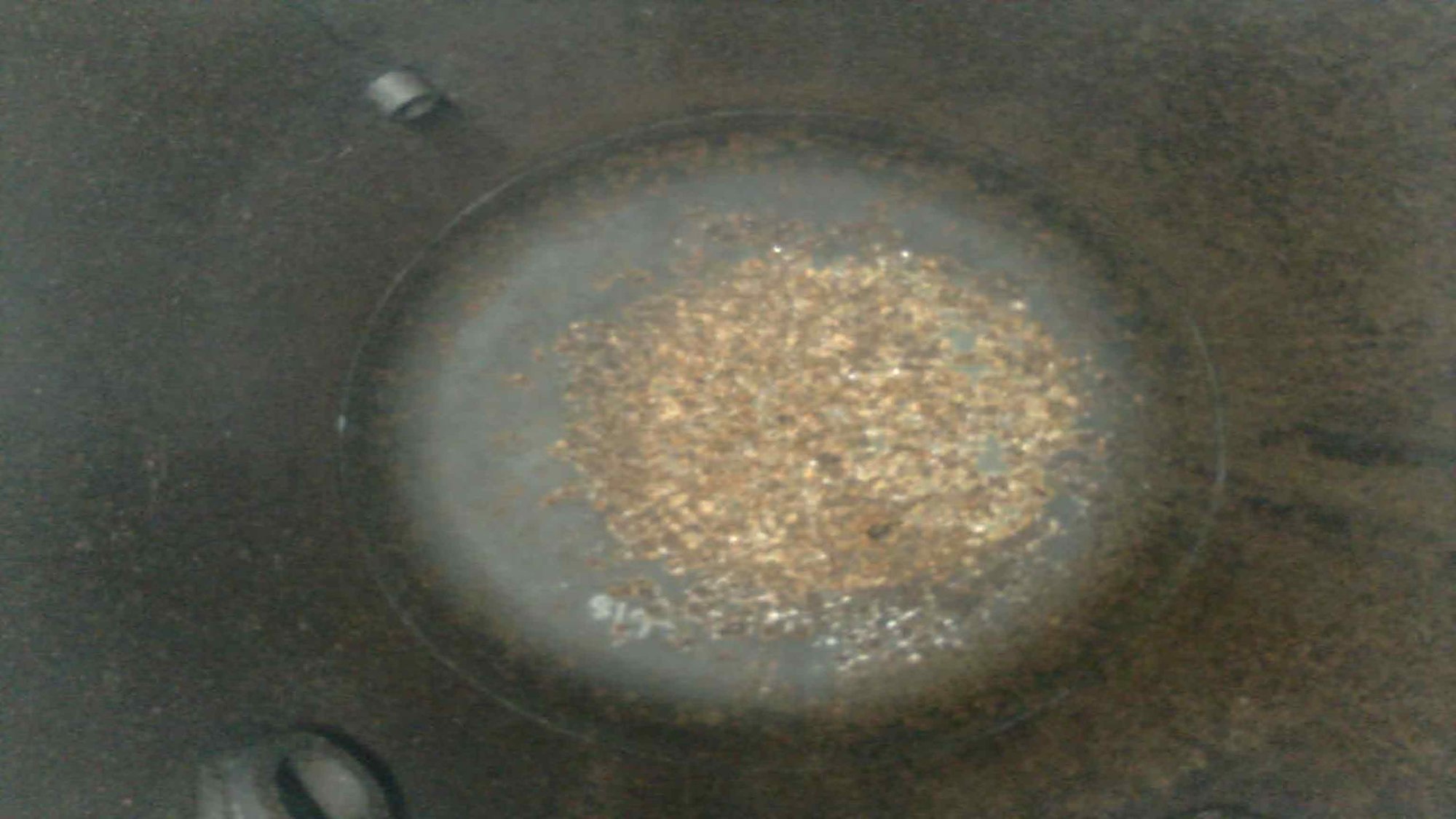 PHO00010.JPG