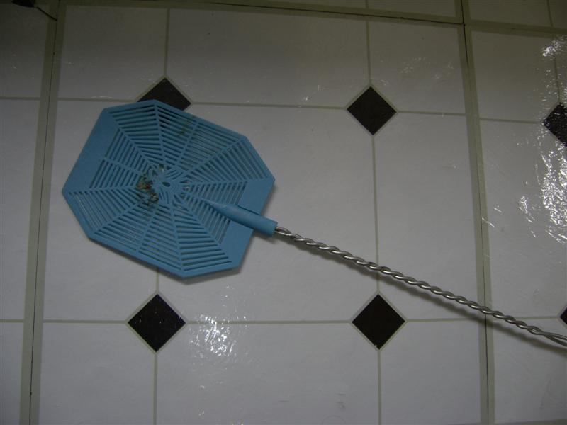 PICT0001 (Medium).JPG