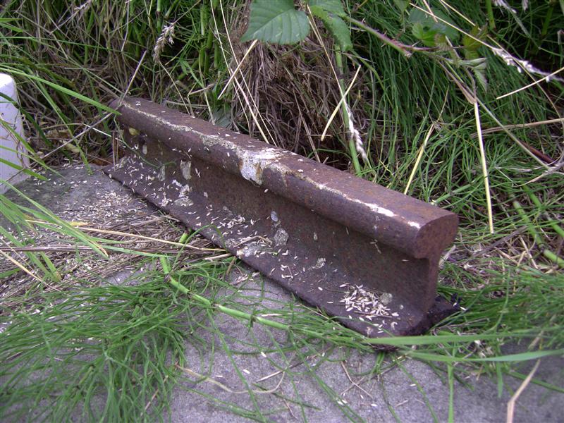 PICT0002 (Medium).JPG
