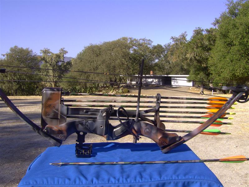 PICT0048 (Medium).JPG