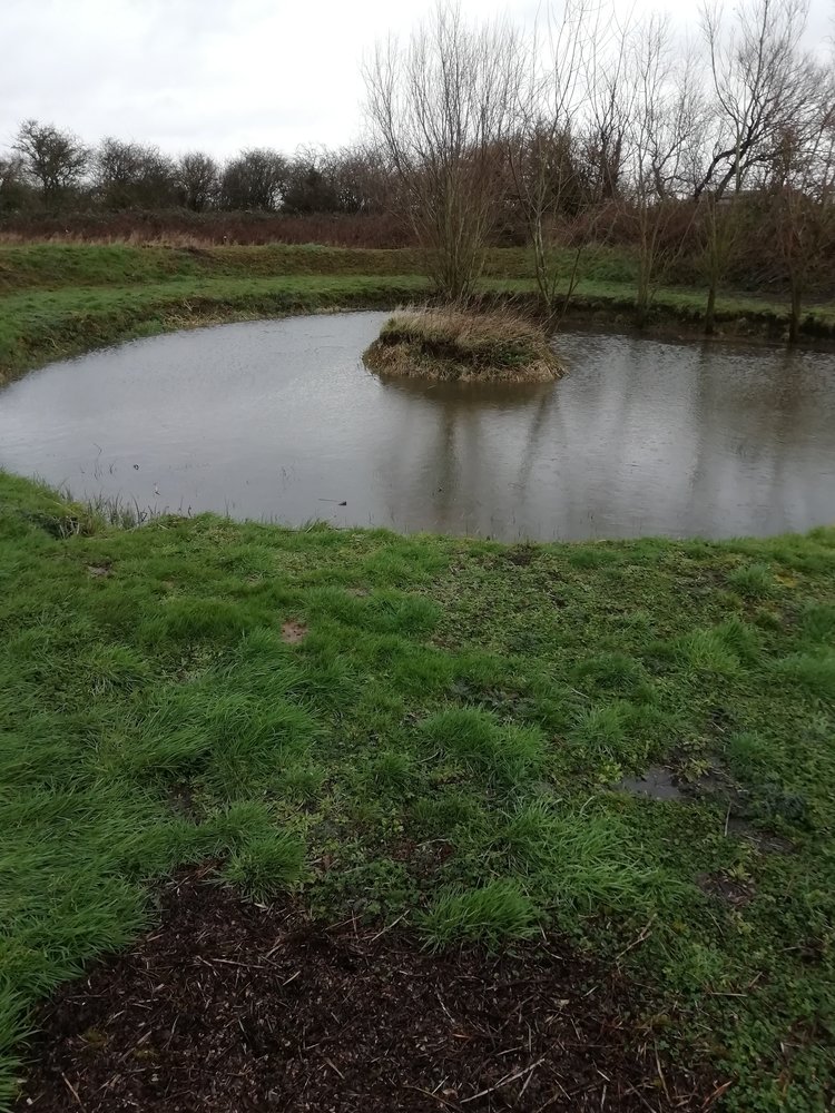 pond feb 2022.jpg