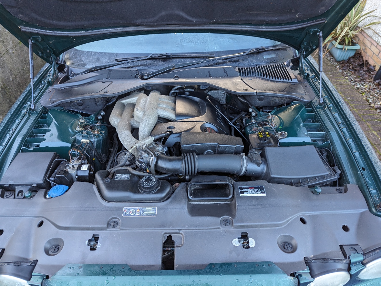 PXL_20231229_104744044.MP.jpg