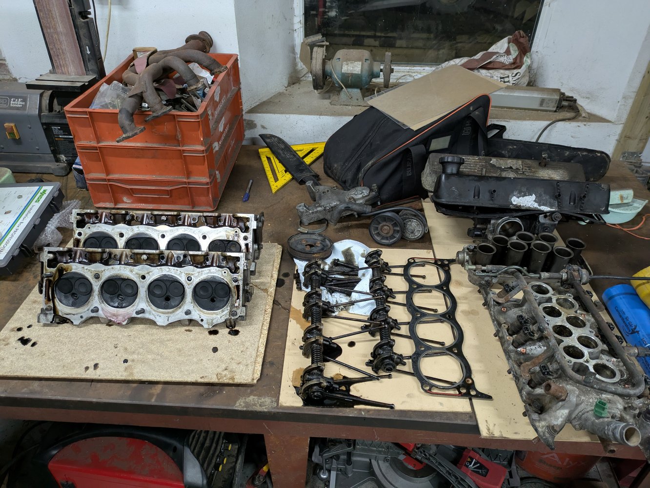 PXL_20250224_205134073.jpg