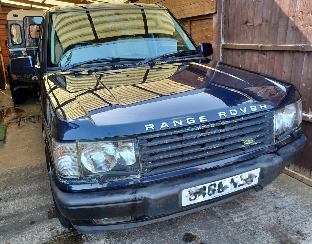 Rangie all clean.jpg