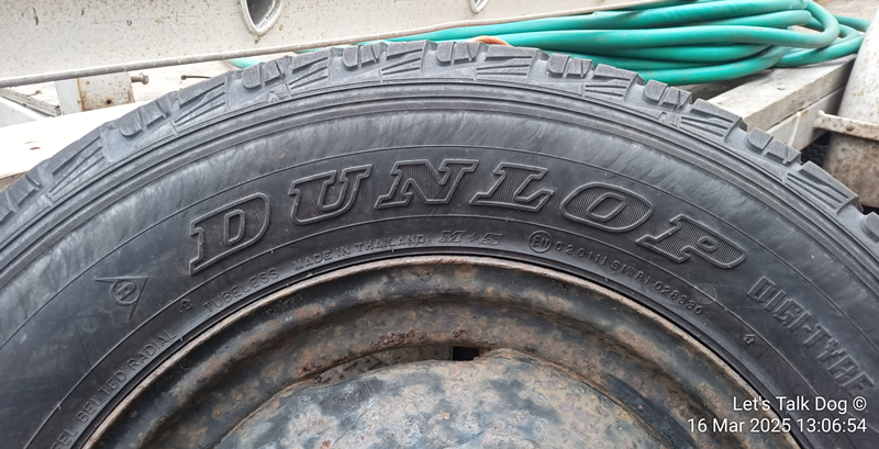 Rice Wheel 01_1.png
