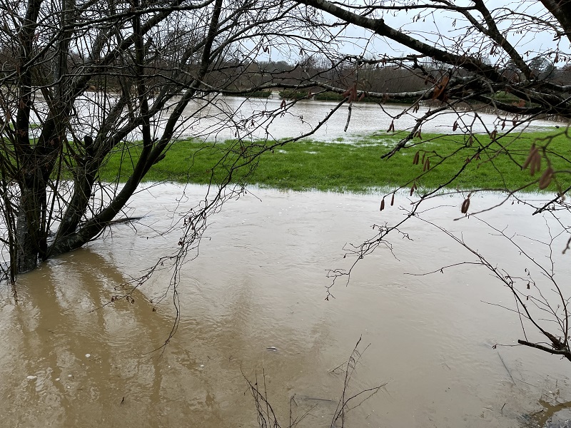 River-Line-Behind-Cottages-#2.jpg