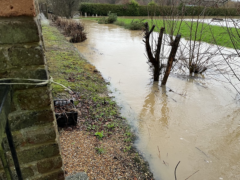 River-Line-Behind-Cottages-#3.jpg