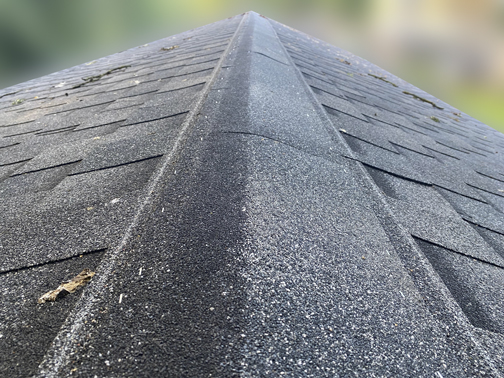 roof-1.jpg