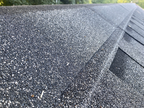 roof-2.jpg