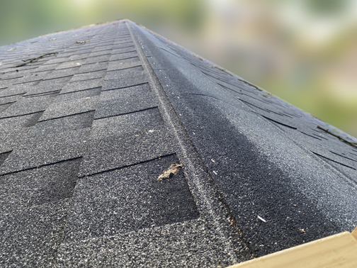 roof-3.jpg