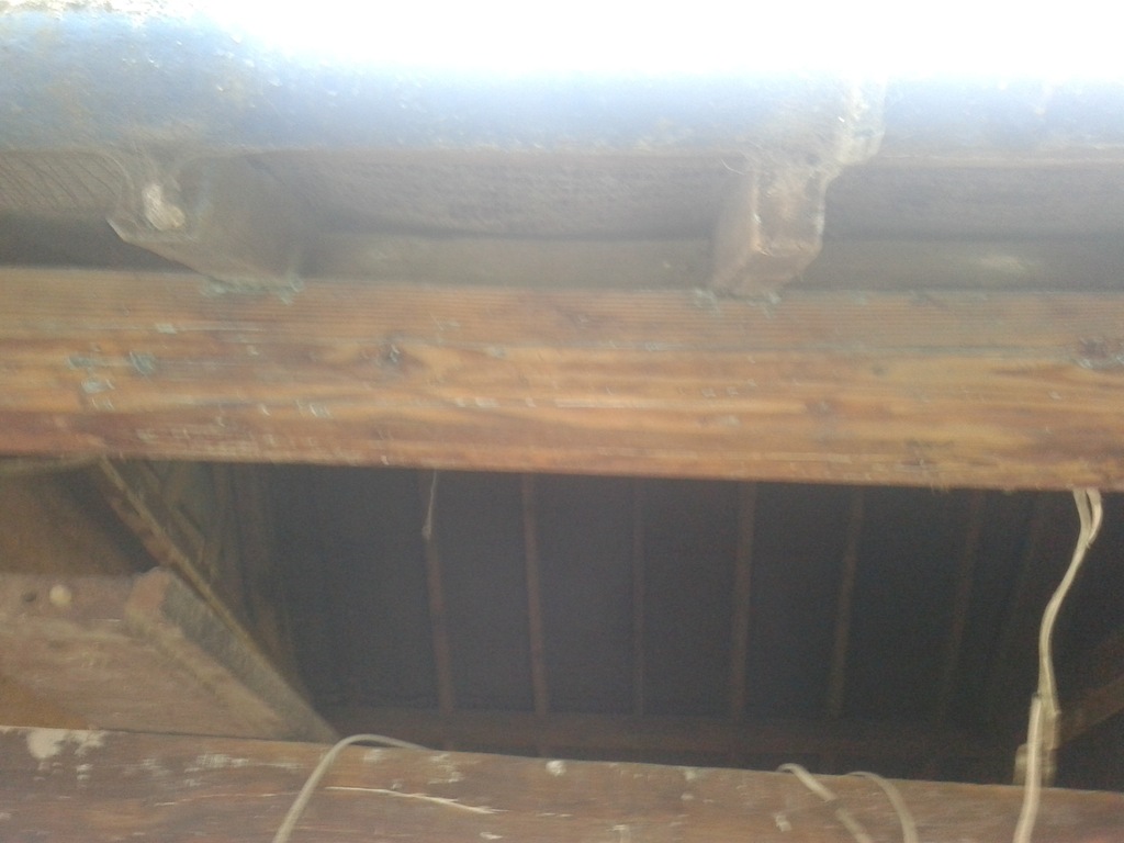 roof.jpg