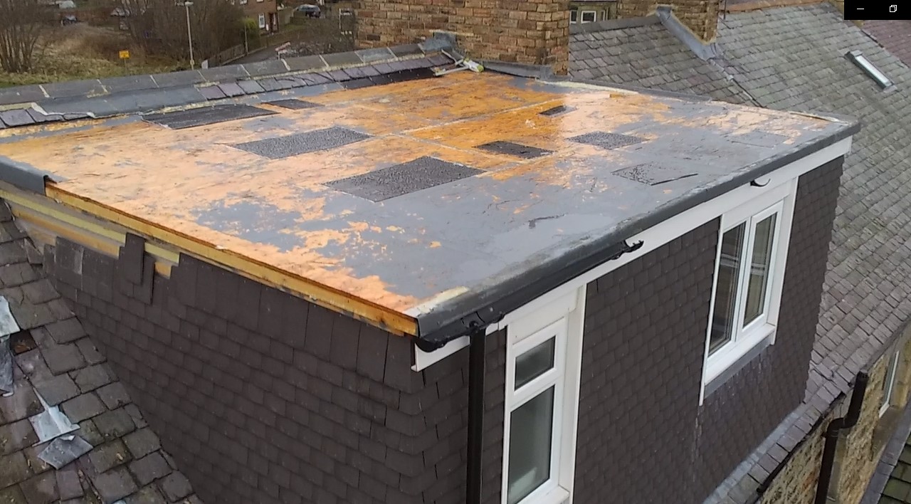 roof2.jpg