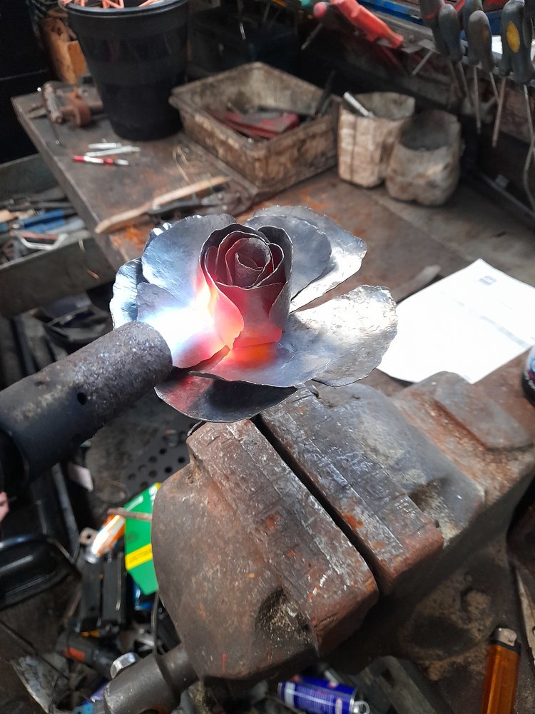 rose 3.jpg