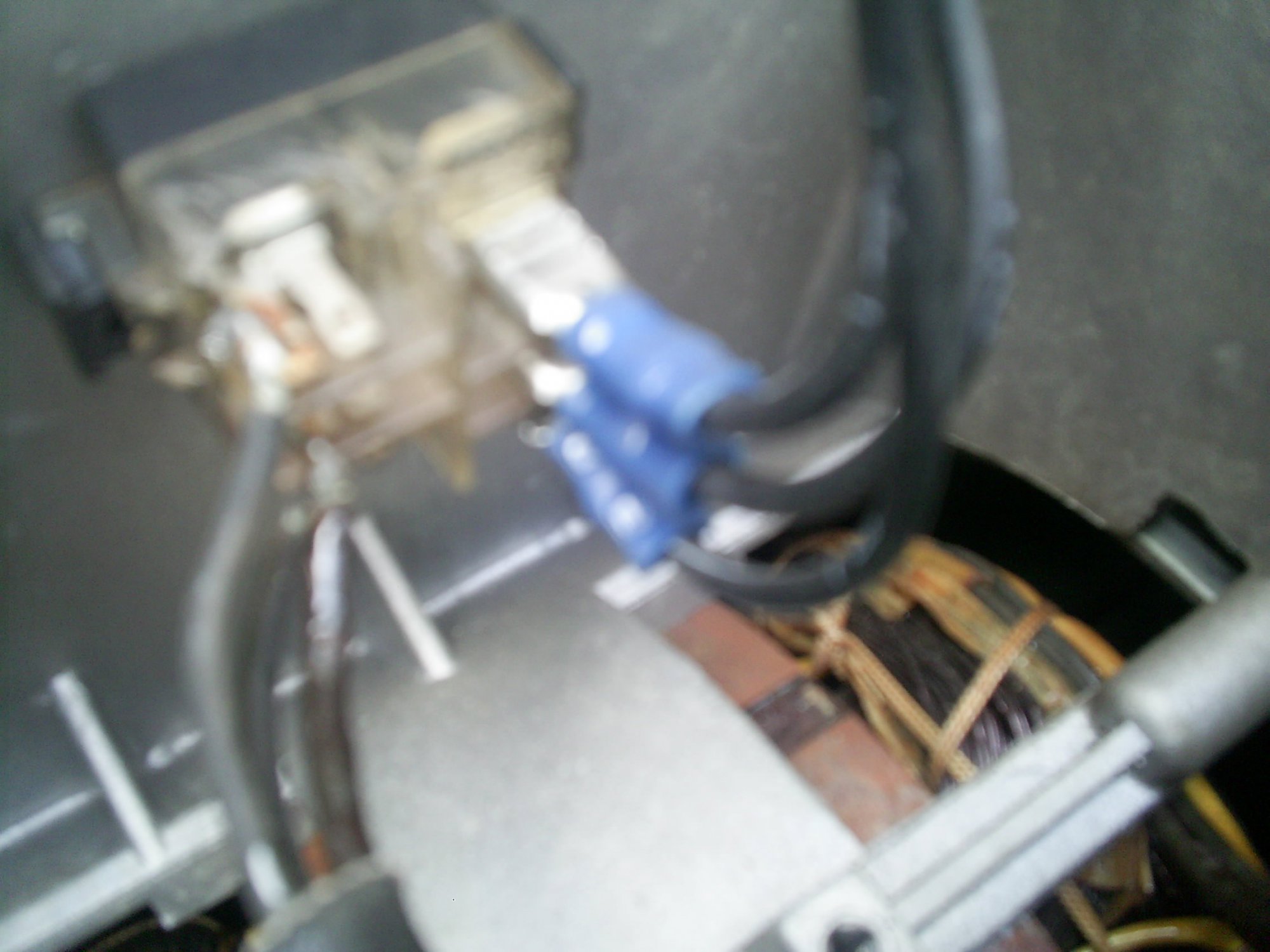 S4021445.JPG