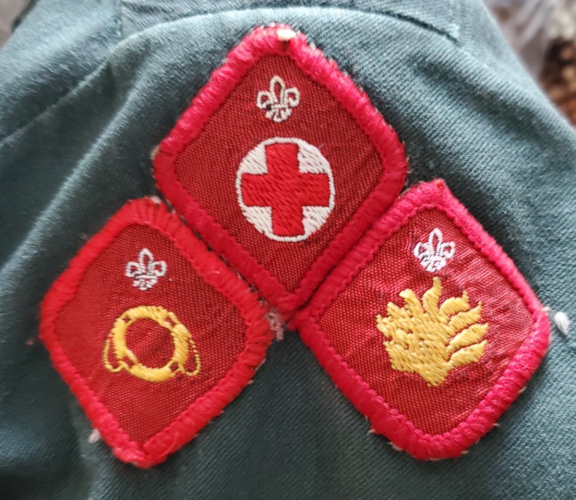 ScoutBadges.jpg