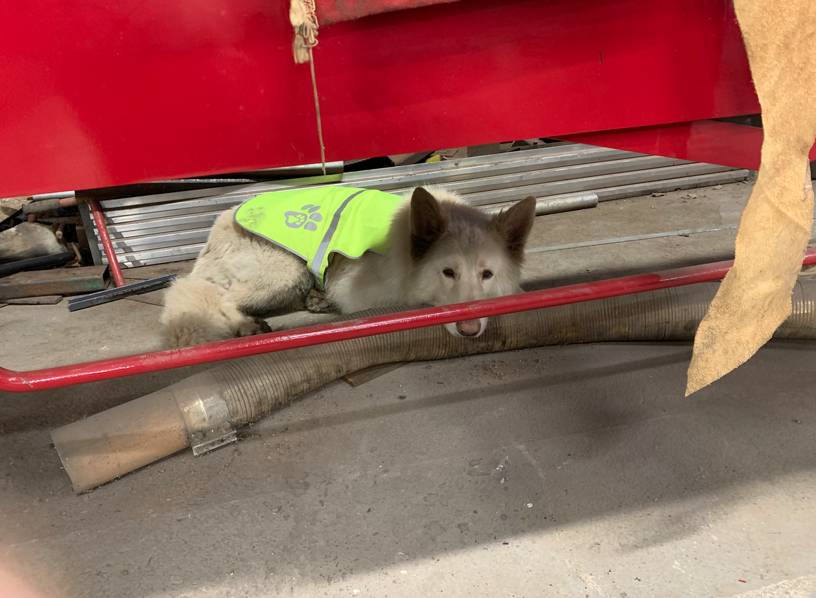 Screen Shot 2024-05-25 at 21.31.50.png