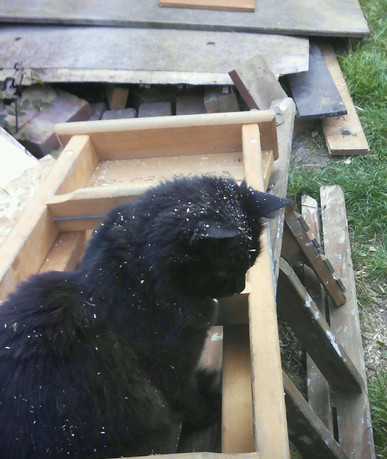 Screenshot 2025-10-29 23.31.20.png