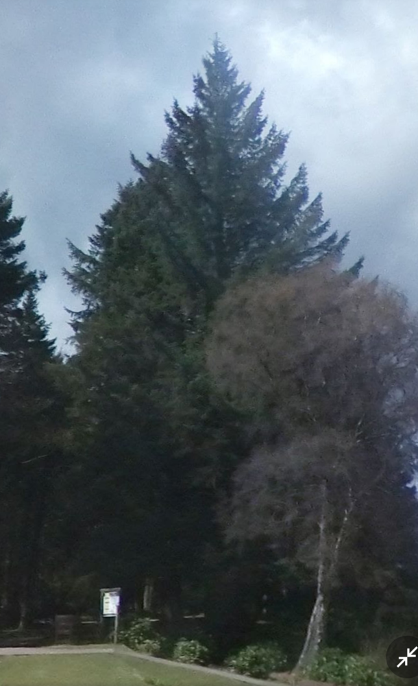 Screenshot_20231126-101102.png