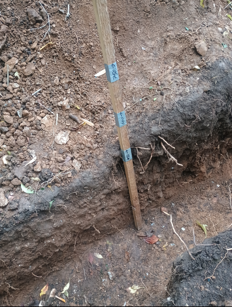 Screenshot_20251109-143415.Files by Google.png