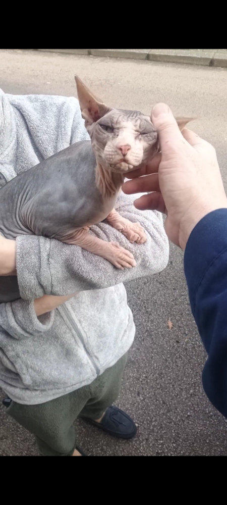 Screenshot_20260218-172255.Files by Google.png