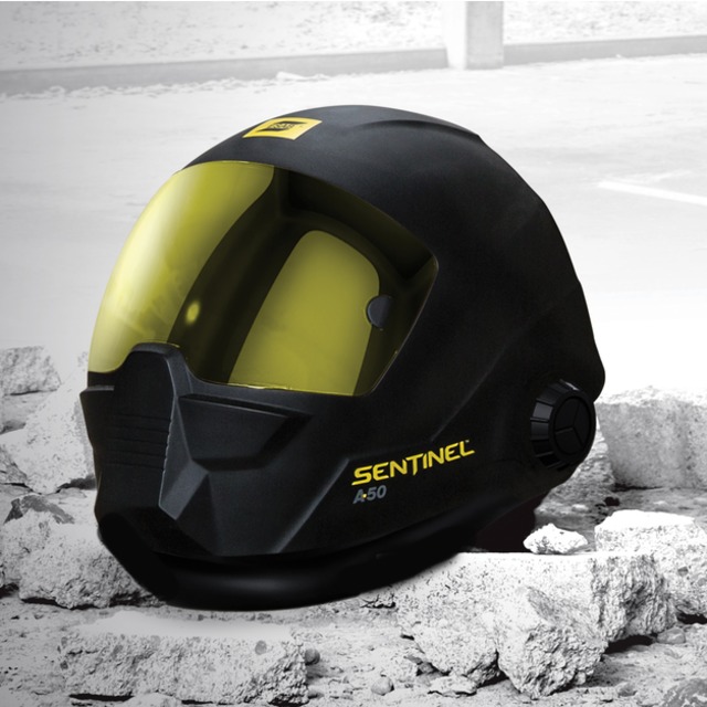 Sentinel.589dd44c9c905.jpg