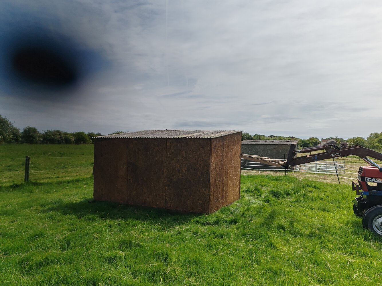 sheep shed roofed.jpg